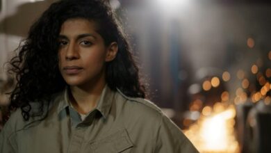 industry insights and numbers